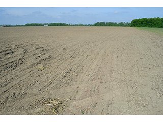 Property photo 16 - LAND AUCTION - 215+/- ACRES OFFERED IN 6 TRACTS IN VAN WERT COUNTY, OHIO